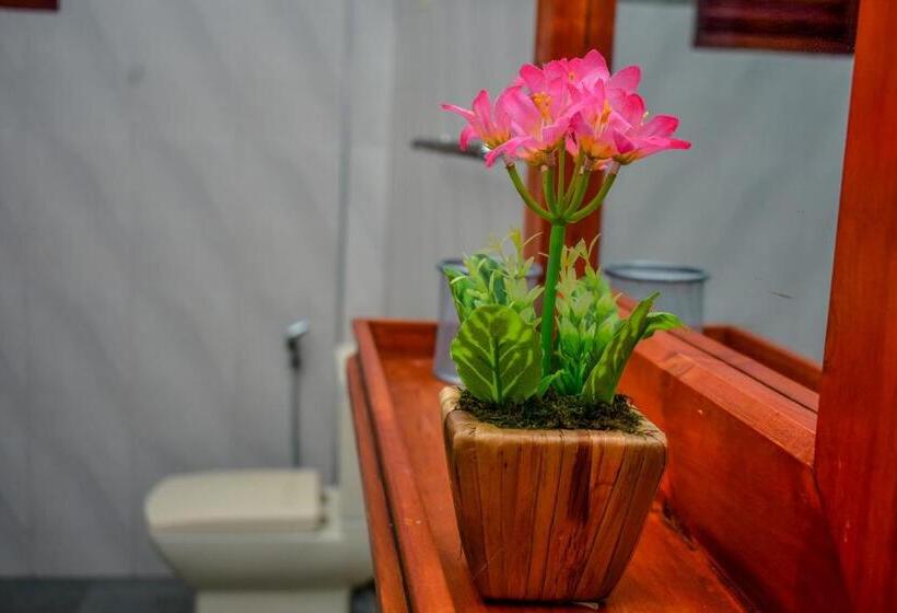 Hotel Aliya Aliya Hikkaduwa