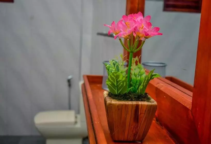 ホテル Aliya Aliya Hikkaduwa