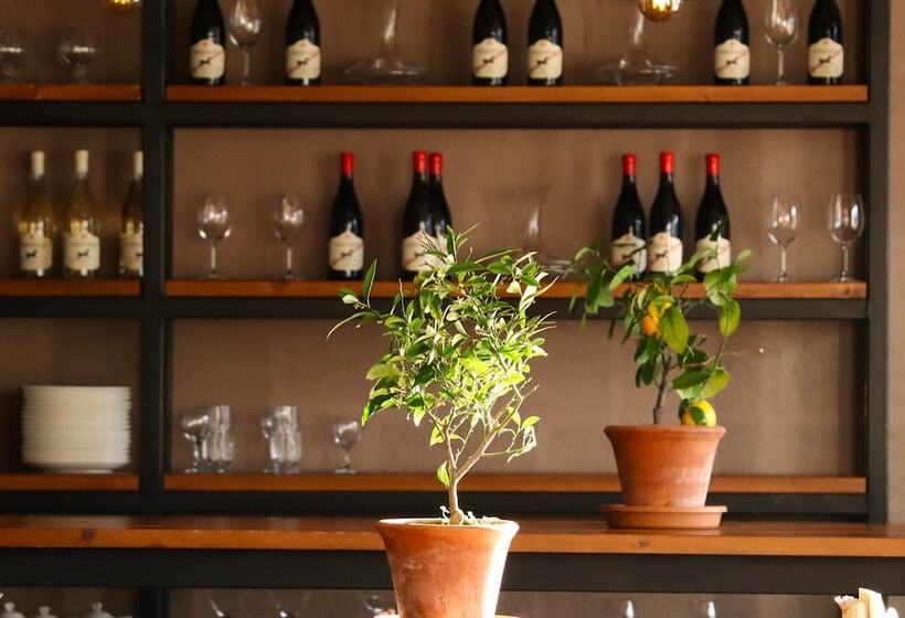 هتل Alpine Lounge Kazbegi