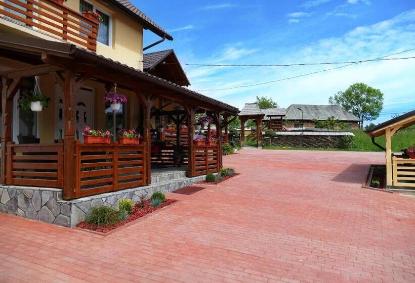 Отель Pensiunea Inima Maramureșului