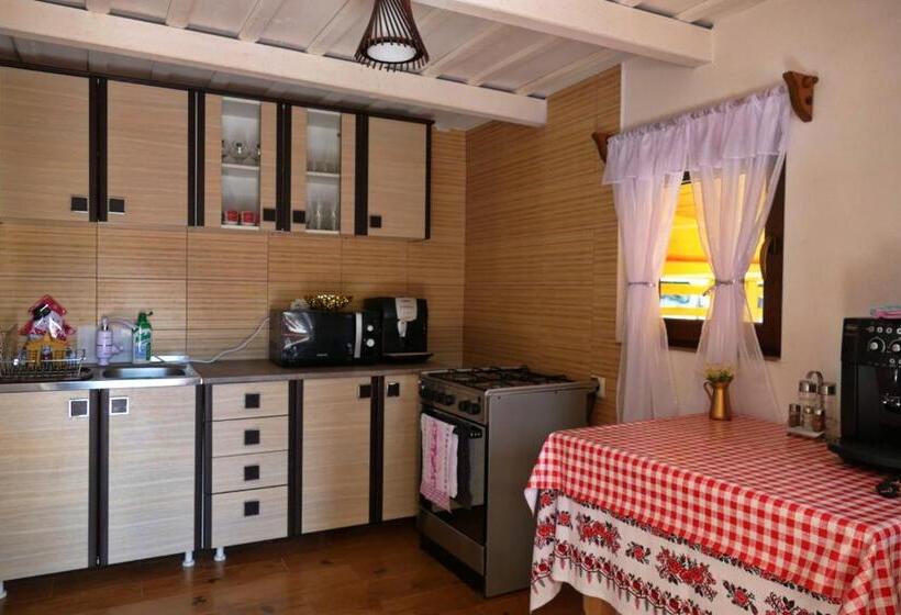 Отель Pensiunea Inima Maramureșului