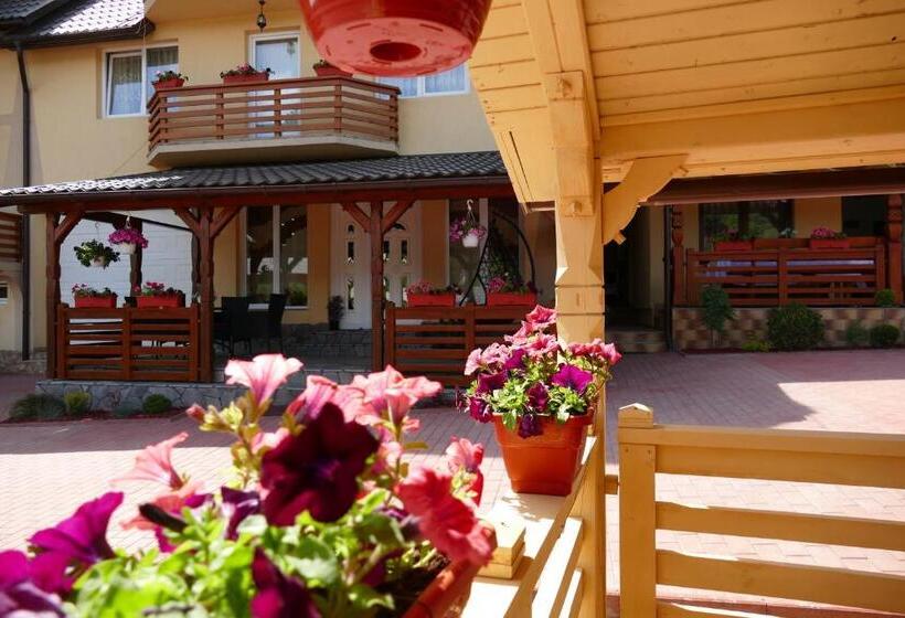 Отель Pensiunea Inima Maramureșului