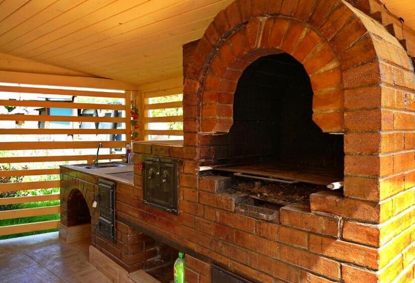 Отель Pensiunea Inima Maramureșului