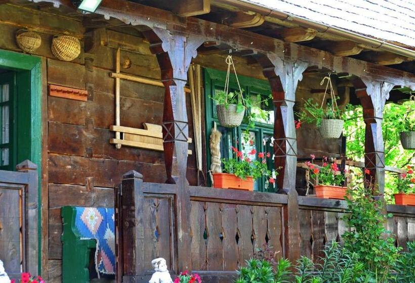 Отель Pensiunea Inima Maramureșului