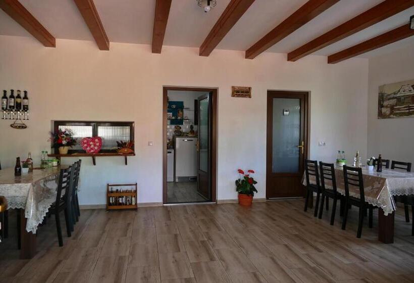 Отель Pensiunea Inima Maramureșului