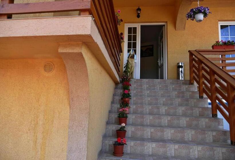 Отель Pensiunea Inima Maramureșului