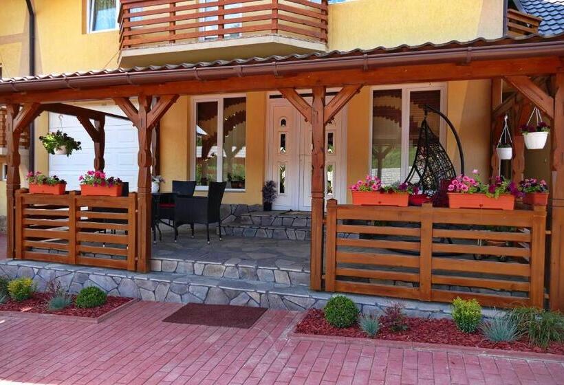 Отель Pensiunea Inima Maramureșului