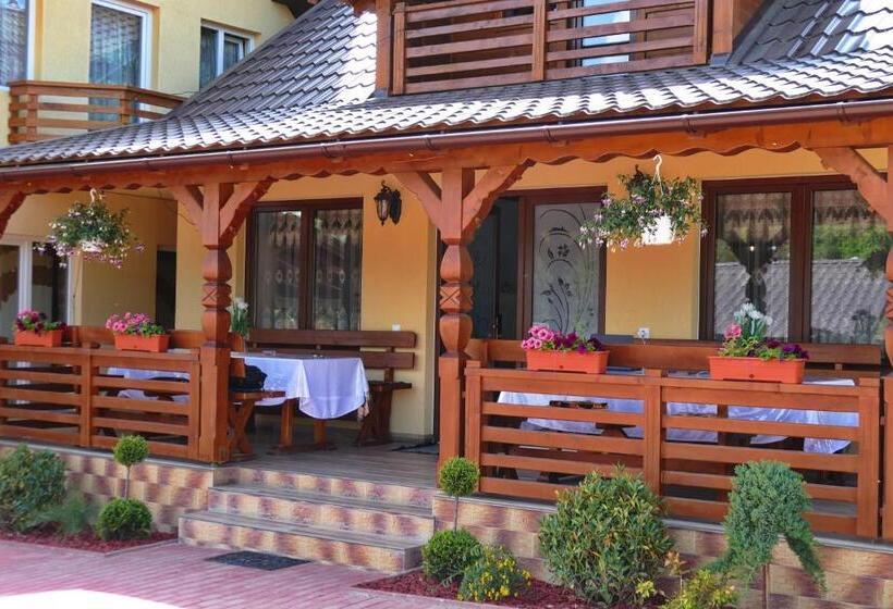 Отель Pensiunea Inima Maramureșului