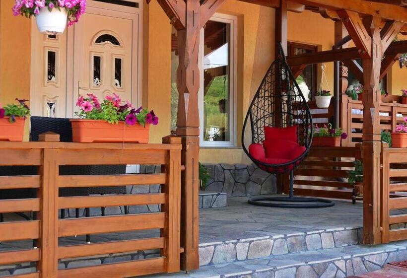 Отель Pensiunea Inima Maramureșului