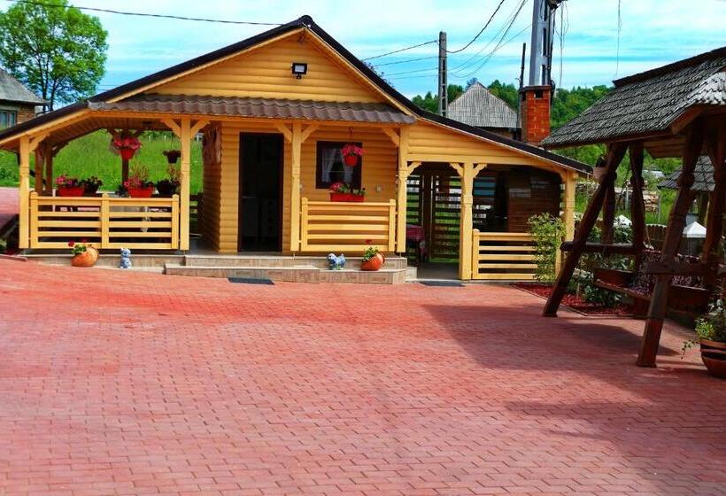 Отель Pensiunea Inima Maramureșului