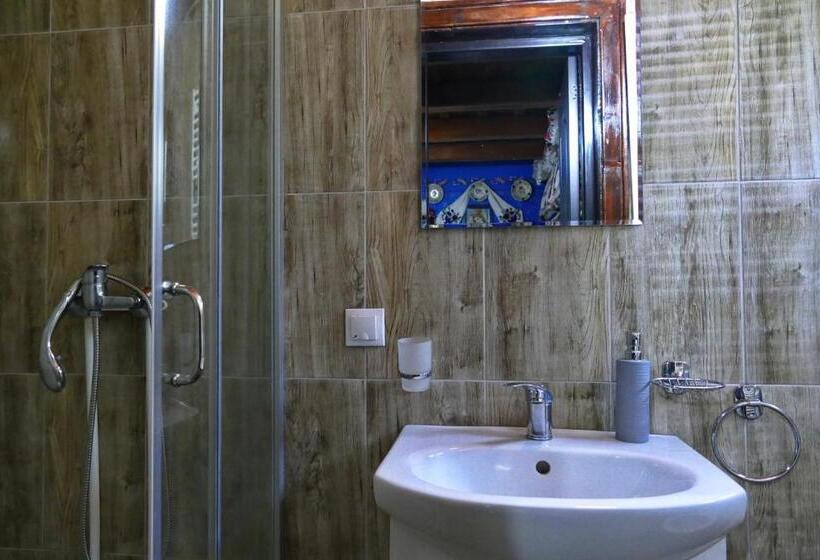 Отель Pensiunea Inima Maramureșului