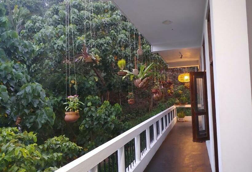 پانسیون Daasa Guest Mirissa