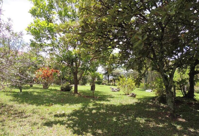 Pensão Pousada Sitio Da Serra