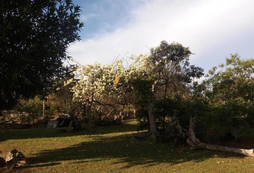 Pensão Pousada Sitio Da Serra