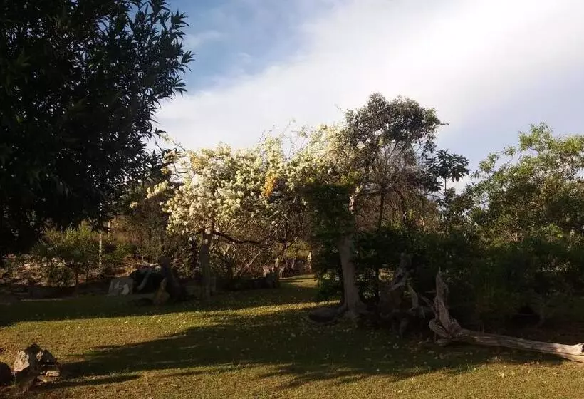 ペンション Pousada Sitio Da Serra