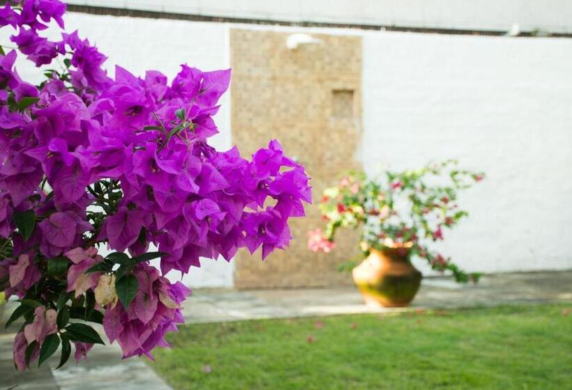 Porto De Galinhas Yes Maria