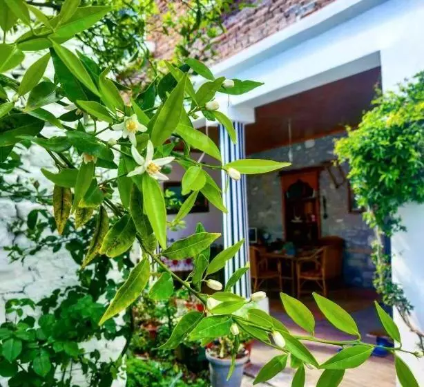 پانسیون Private Room Historic Center Elbasan