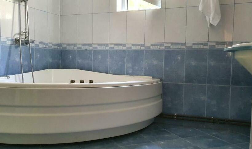 Pensionat Vila Vasile