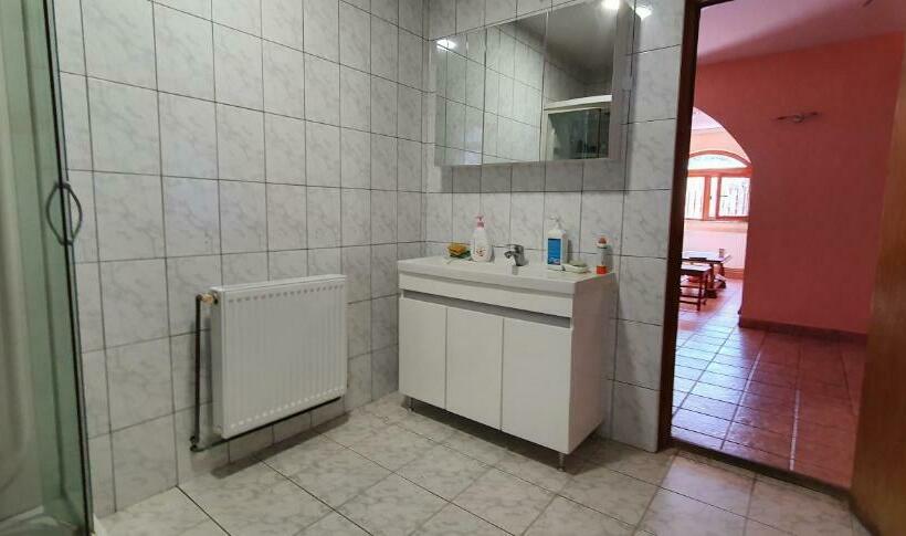 Pensionat Vila Vasile