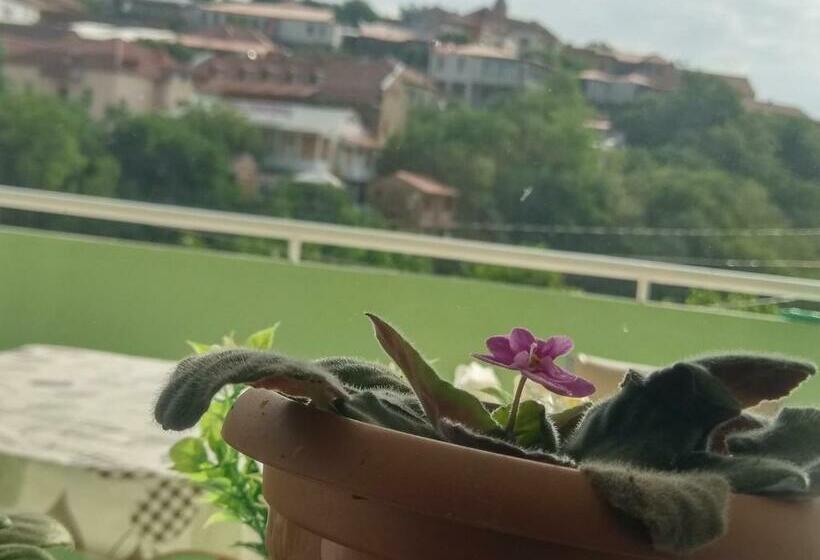 پانسیون Guest House Vista