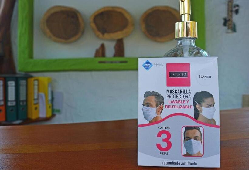 پانسیون Hostal Cann's House