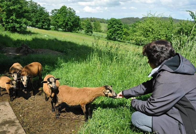 Пансион Penzion Rankl Sepp