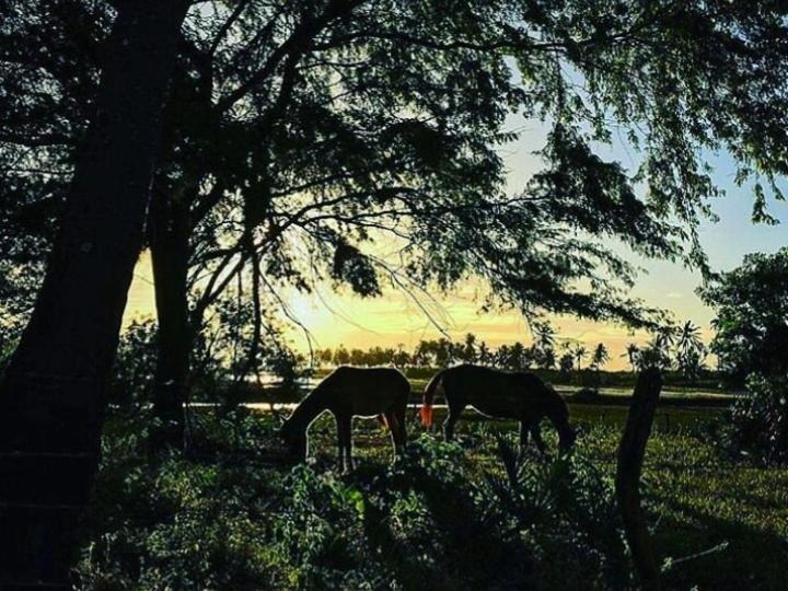 پانسیون Pousada Casa De João Kitehouse