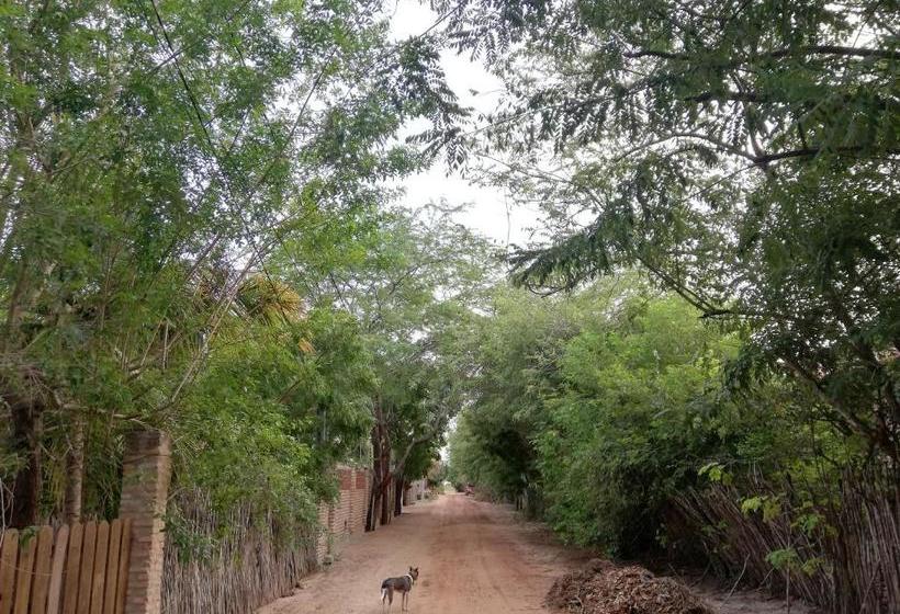 پانسیون Pousada Casa De João Kitehouse