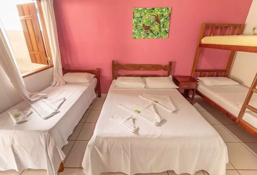 ペンション Pousada Luz Do Sol