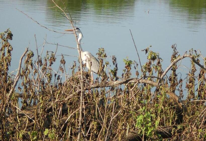 Pension Splendid Lake View Safari Lodge