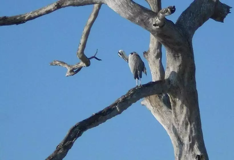 Majatalo Splendid Lake View Safari Lodge