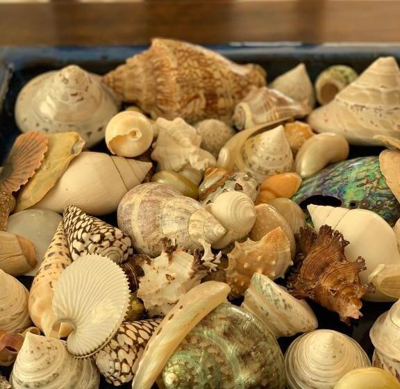 پانسیون Villa Mare Residence