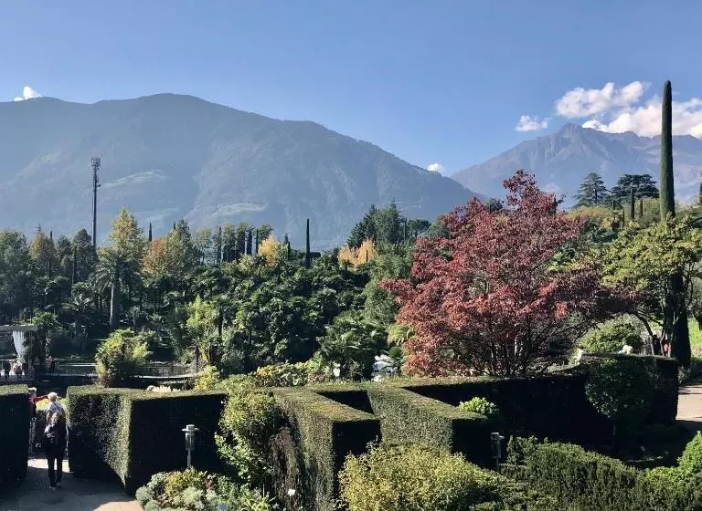 City Apartments Portico