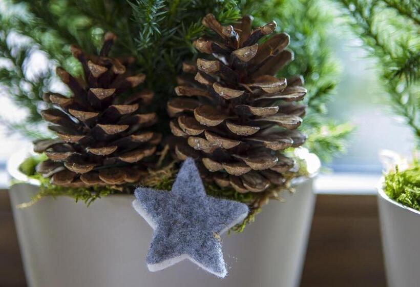 هتل Garni Broi Charme & Relax