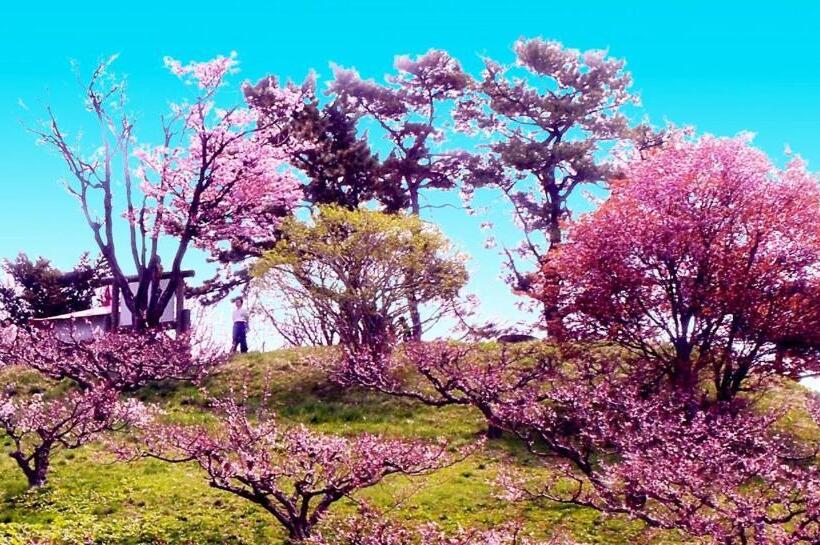 Пансион ホテル中の島別館