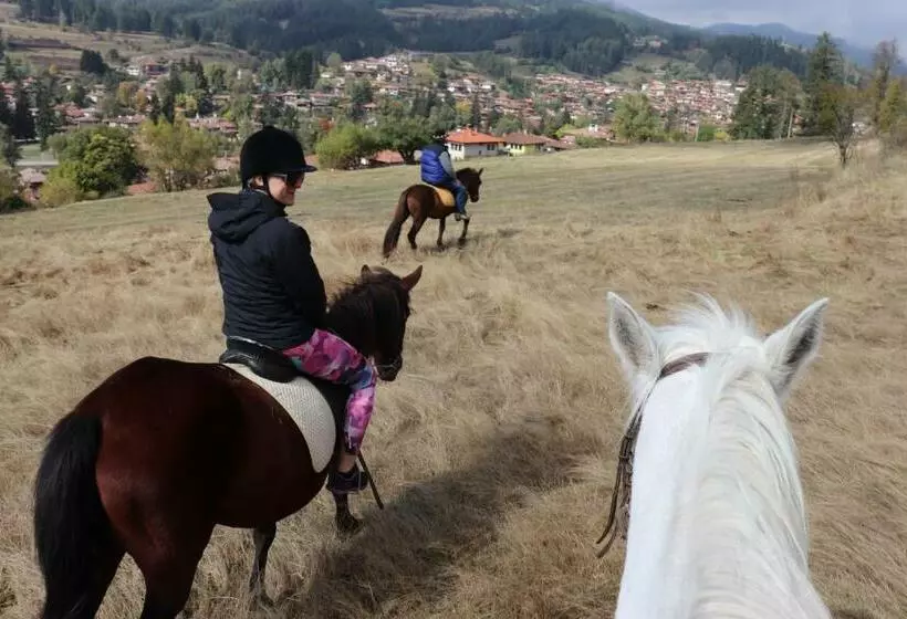 ペンション Dona Guest House   Horse Riding
