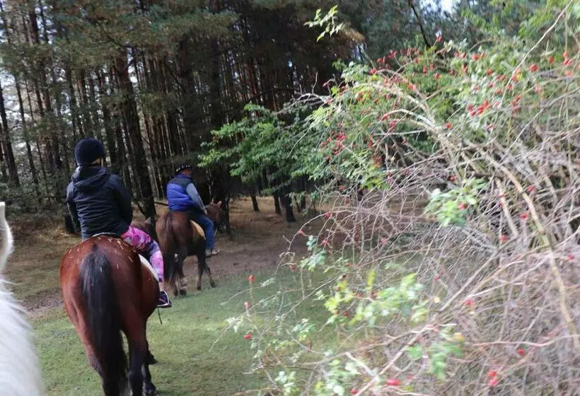 ペンション Dona Guest House   Horse Riding