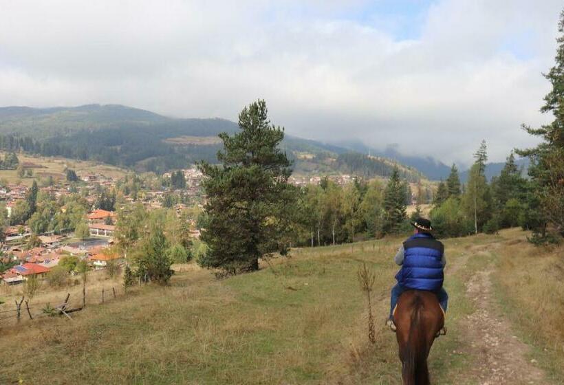 פנסיון Dona Guest House Horse Riding