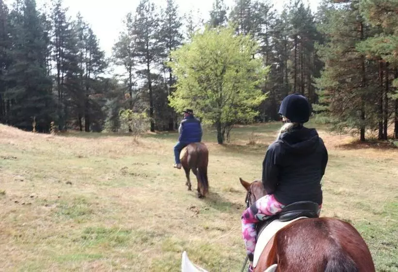 ペンション Dona Guest House   Horse Riding