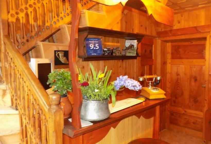 פנסיון Dona Guest House Horse Riding