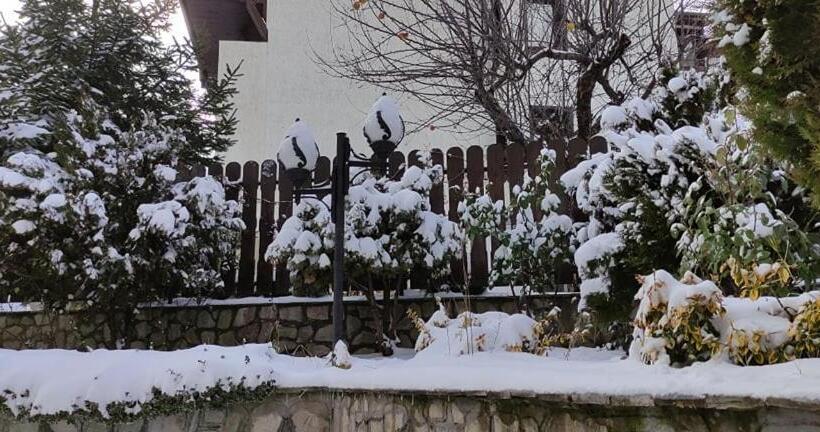 پانسیون Guest House Ela