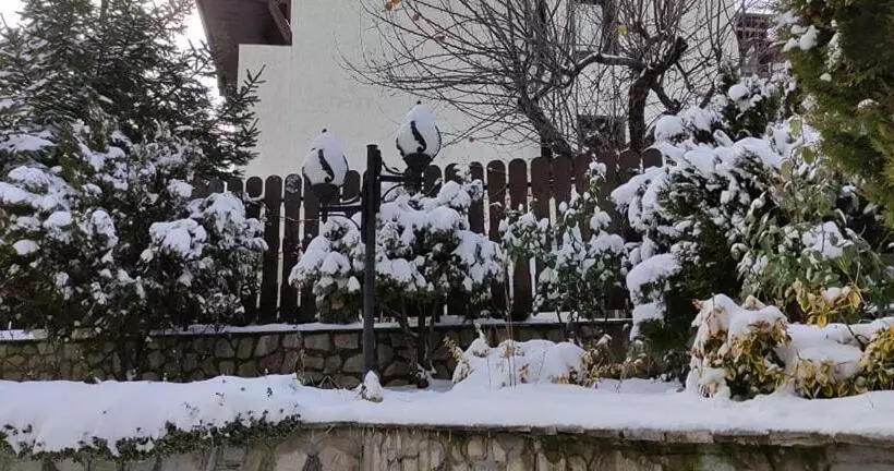 پانسیون Guest House Ela
