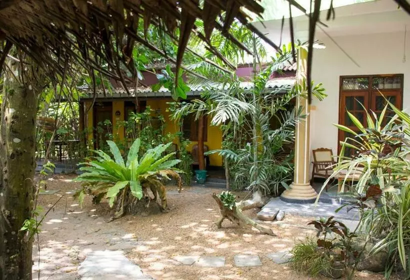 ペンション Minara Guest House
