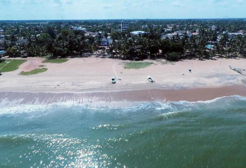 פנסיון Ocean View Tourist Guest House At Negombo Beach