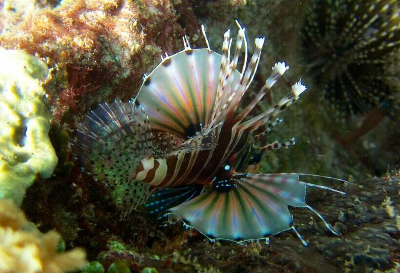 Pensjonat Pantai Karang
