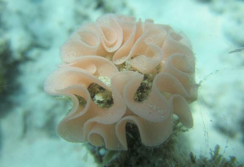 Pensjonat Pantai Karang