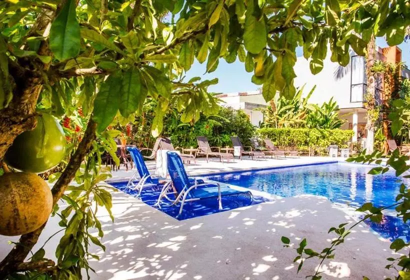 ペンション Pousada Armação De Camburi