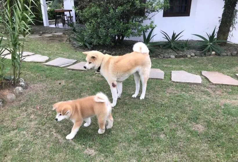 ペンション Pousada Chalé Suíço