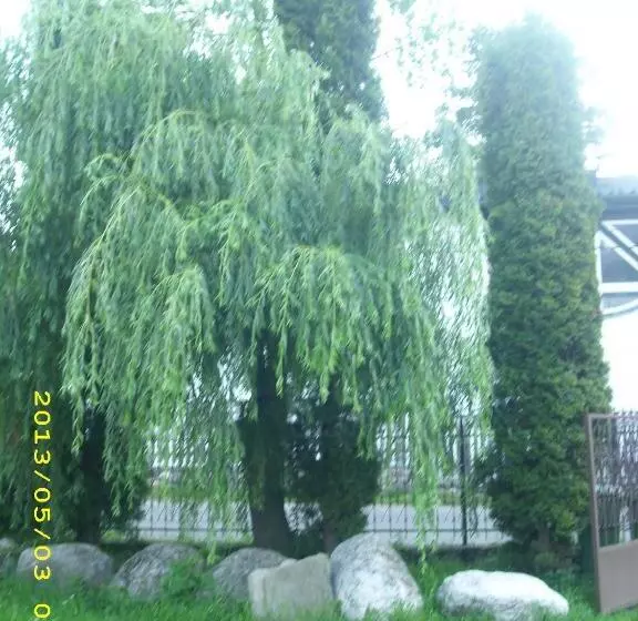 Pensiunea Belvedere