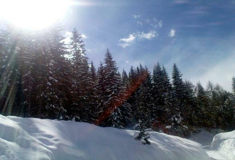 Alpenhäuser Marcius